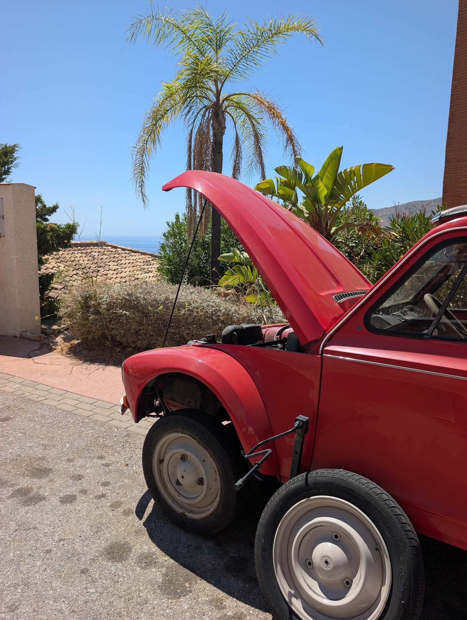 Een klassieke rode Citroën 2CV (Eend) Dyane met een geopende motorkap geparkeerd op een oprit in de zon, met op de achtergrond een palmboom, tropische planten en in de verte de blauwe Middellandse Zee.
