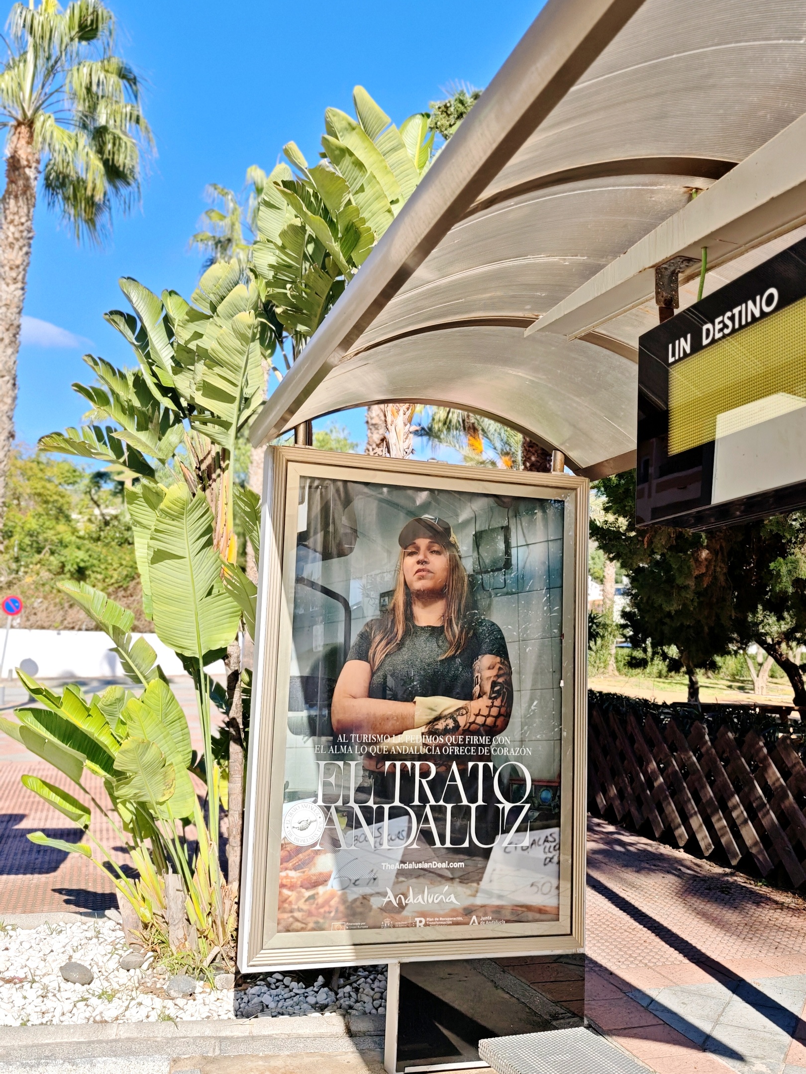 Andalusian woman wearing a cap and showing a tattoo in a bus shelter under palm trees on a sunny day in Andalusia.
