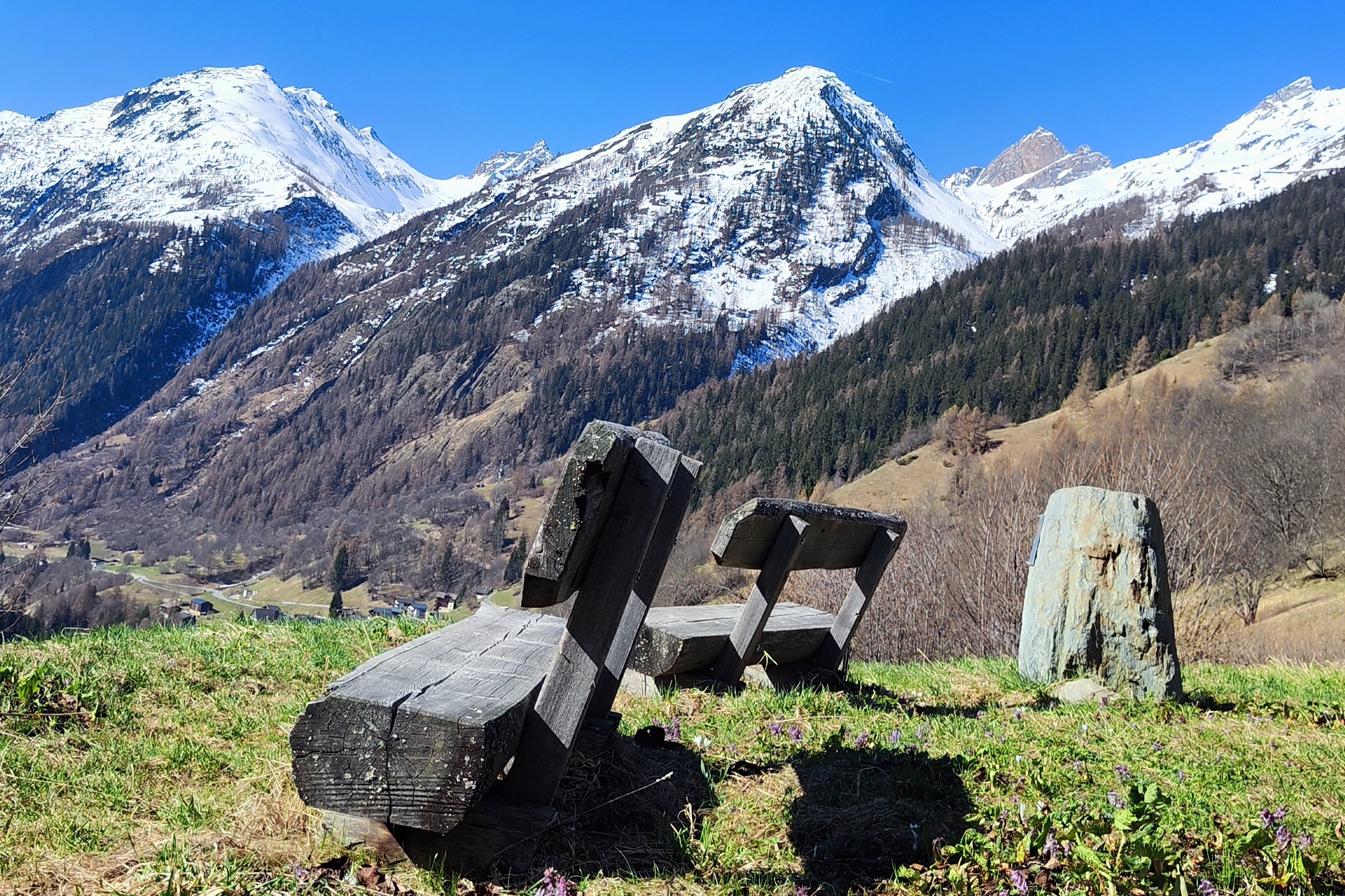 Twee houten bankjes boven het Zwitserse dorp Kippel in het Lötschental met uitzicht op de besneeuwde Ferdenrothorn, Schwarzhorn en Restirothorn, met groene alpenweiden en voorjaarsbloemen op de voorgrond
