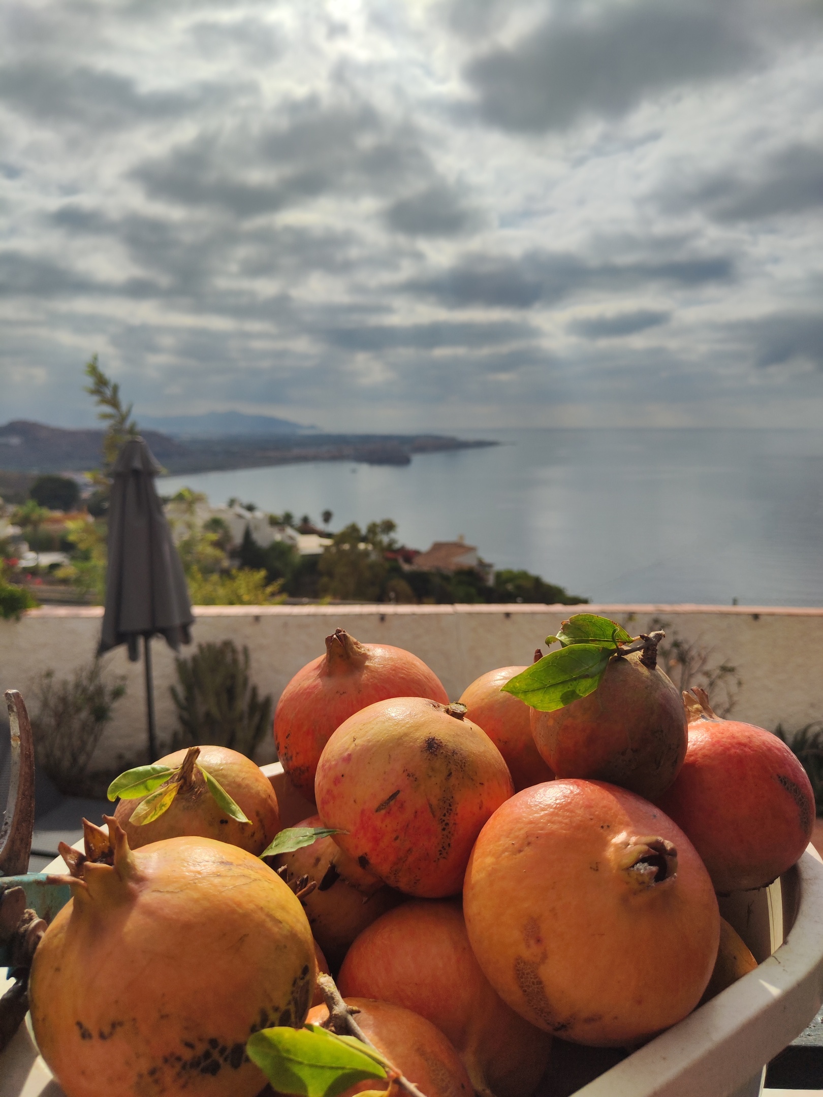 Emmer met verse granaatappels uit de fruitboomgaard van Villa Merise op de veranda, uitzicht op de kustlijn van Salobreña, Motril, Costa Aguilera en Pargo, met een vlakke Middellandse Zee en bewolkt weer