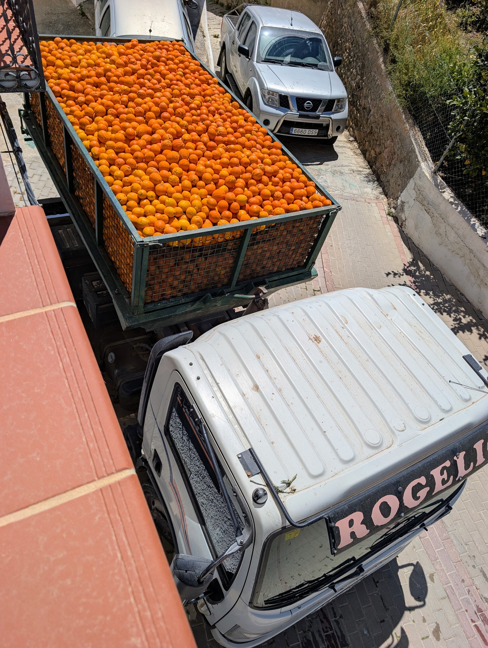 Truck loaded with freshly harvested oranges outside Casita Klein Zwitserland in Beznar, Lecrín Valley, Andalusia