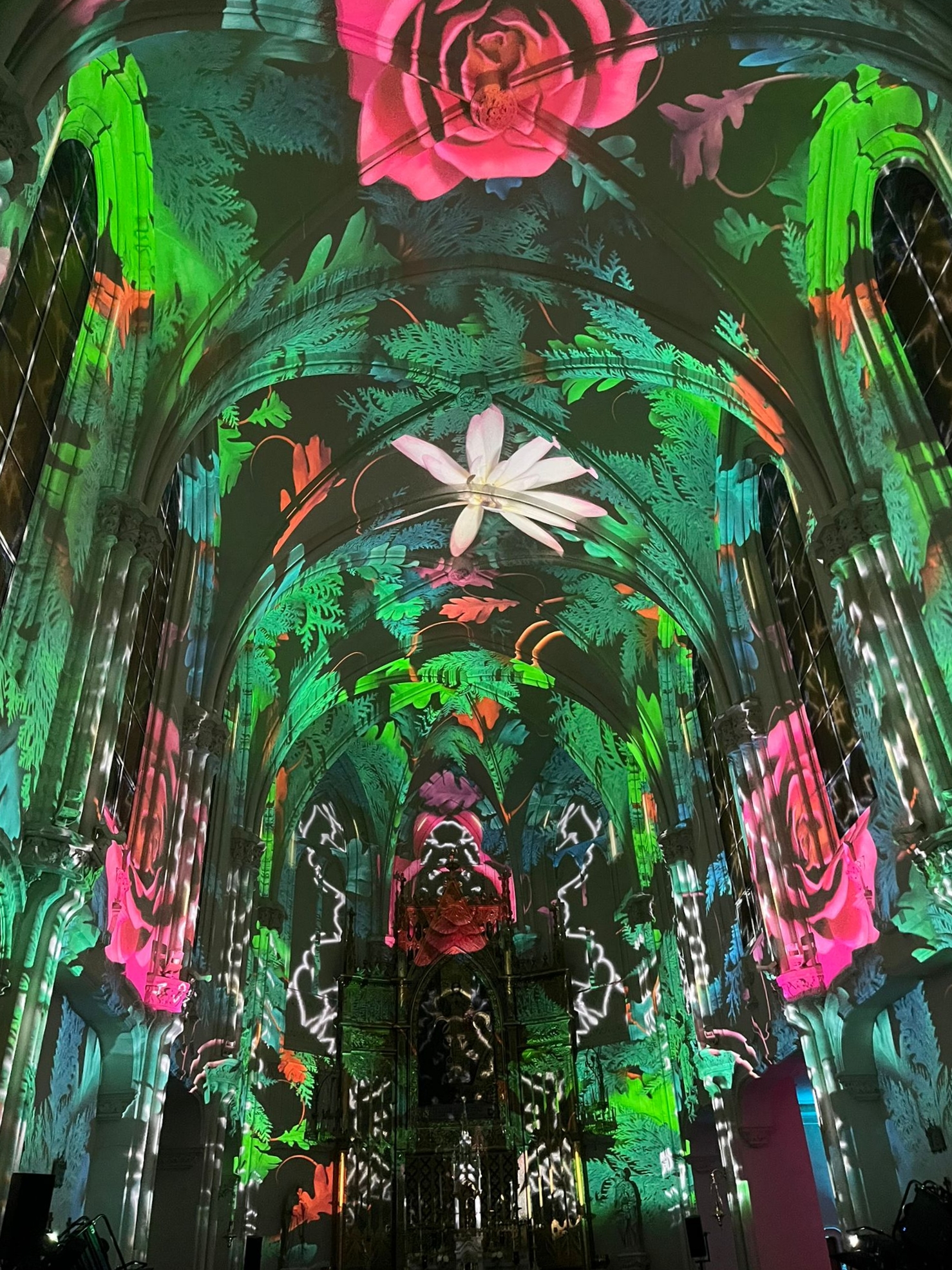 Audio-visuele lichtvoorstelling Genesis in de kapel van het Heilig Hart College in Granada, met groene planten, kleurrijke bloemen, rode rozen en roze lelies geprojecteerd op de kerkmuur, symboliserend de schepping van het plantenleven.